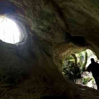 Click para ampliar. Pulsa en el nombre para ver la ficha. Cova 01